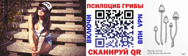 Купить  Кирсанов  Псилоцибиновые грибы мицелий 