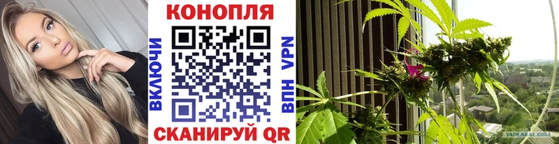 Шишки марихуана гибрид Кирсанов