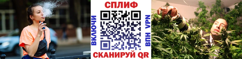 Купить закладки Кирсанов Канабис ГИДРОПОН